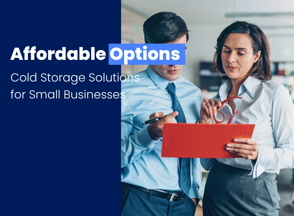 Cold Storage Solutions for Small Businesses Affordable Options