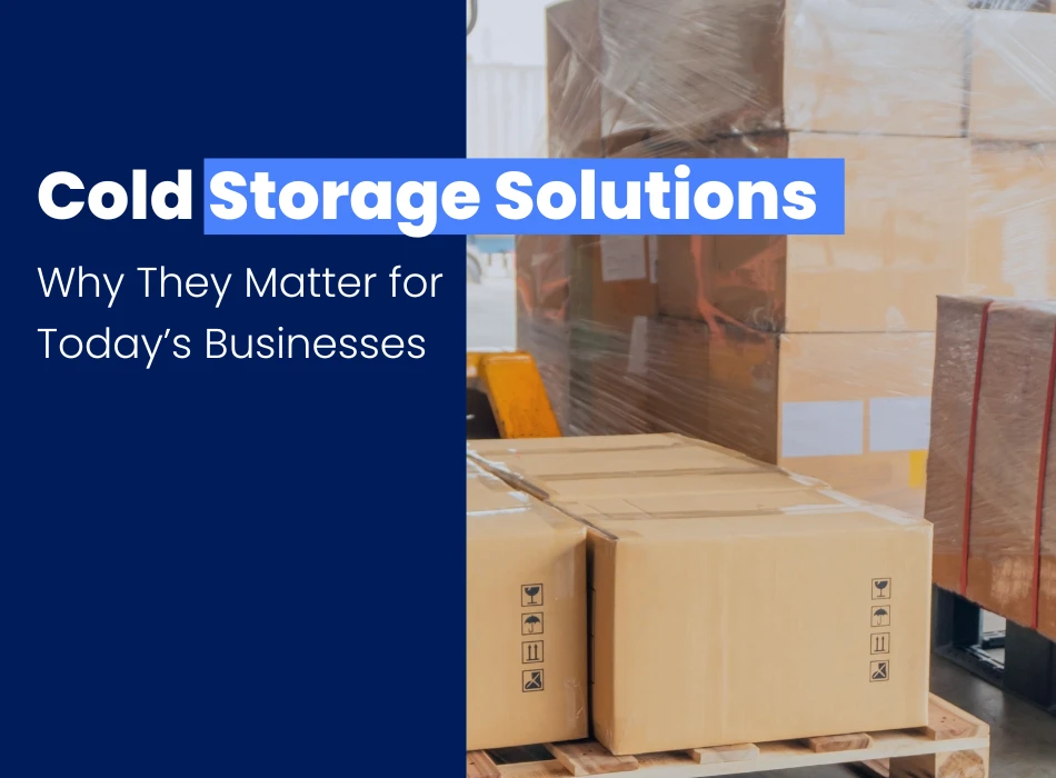 Cold Storage Solutions Why They Matter for Todays Businesses