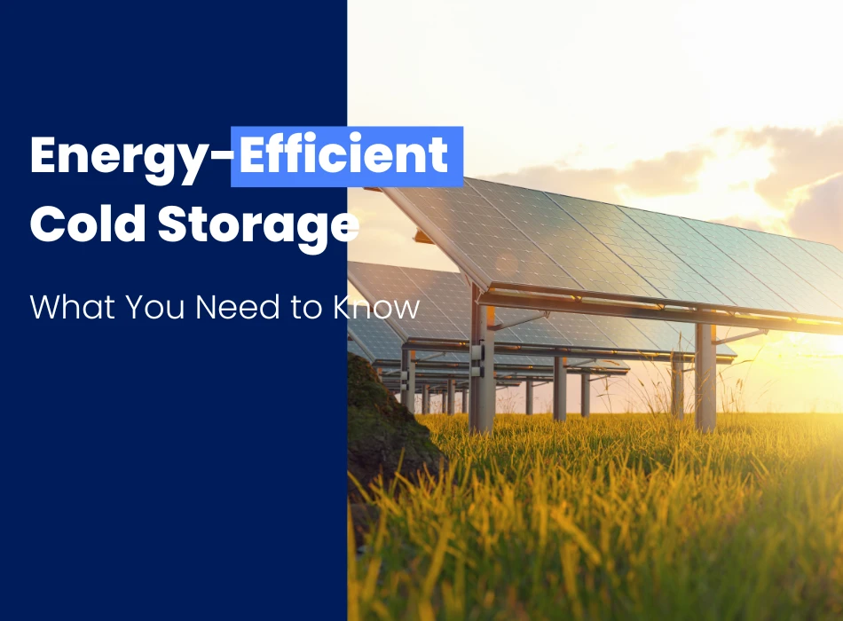 Energy Efficient Cold Storage What You Need to Know