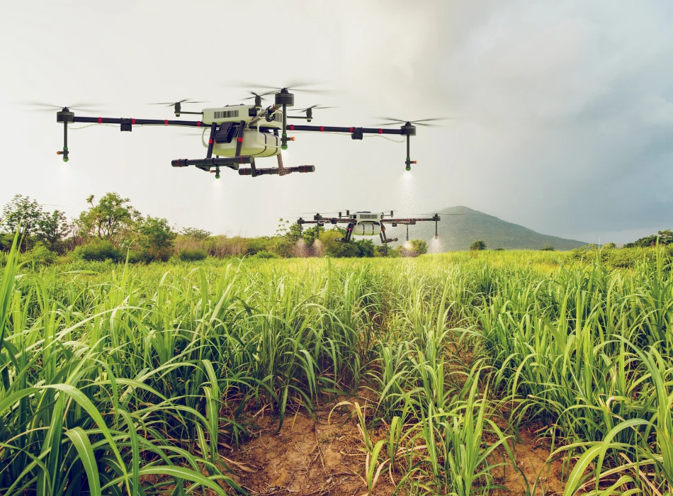 How Cold Storage is Revolutionizing the Agriculture Industry