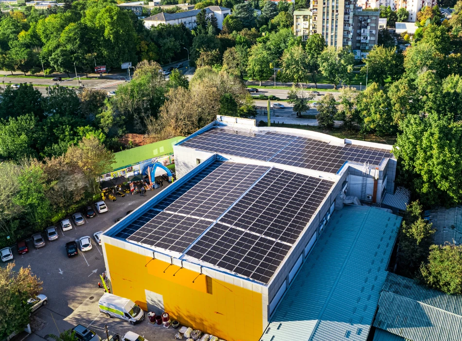 How Energy Efficiency is Driving Sustainability in Cold Chain Logistics