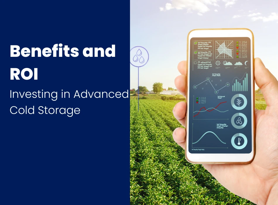 Investing in Advanced Cold Storage Benefits and ROI
