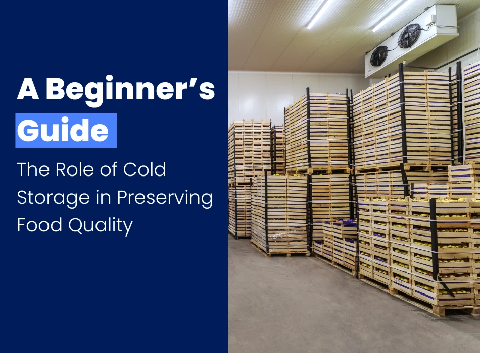 The Role of Cold Storage in Preserving Food Quality A Beginners Guide